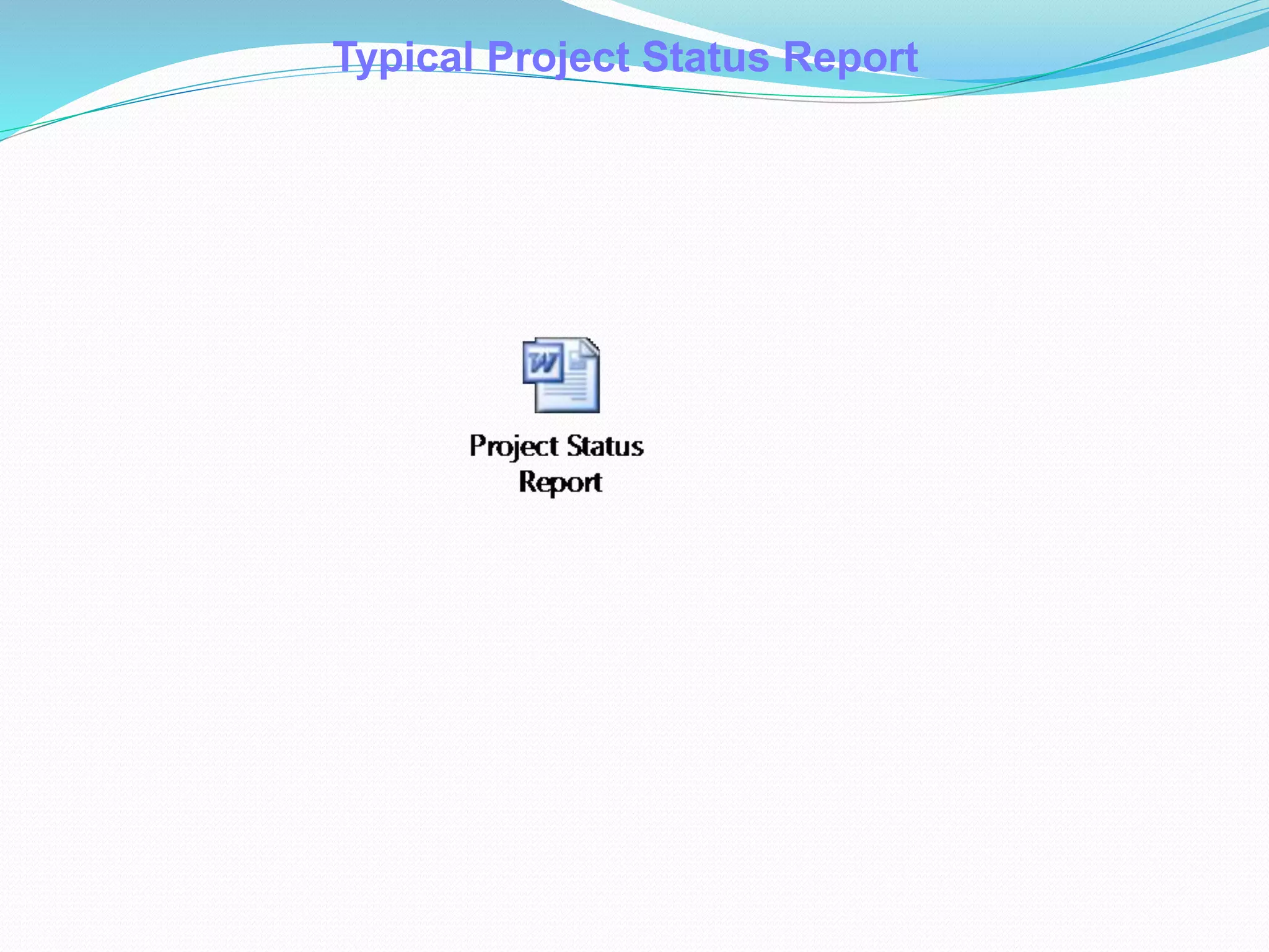 Typical Project Status Report
 