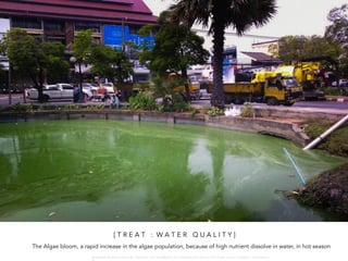 [ T R E A T : W A T E R Q U A L I T Y ]
The Algae bloom, a rapid increase in the algae population, because of high nutrient dissolve in water, in hot season
W A R O N G W O N G L A N G K A : 1 6 9 1 0 0 4 D E P A R T M E N T O F L A N D S C A P E A R C H I T E C T U R E , C A U P , T O N G J I U N I V E R S I T
 