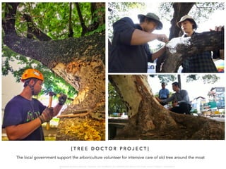 [ T R E E D O C T O R P R O J E C T ]
The local government support the arboriculture volunteer for intensive care of old tree around the moat
W A R O N G W O N G L A N G K A : 1 6 9 1 0 0 4 D E P A R T M E N T O F L A N D S C A P E A R C H I T E C T U R E , C A U P , T O N G J I U N I V E R S I T
 