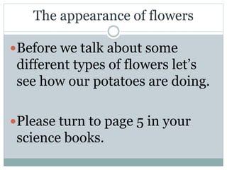 The appearance of flowers
Before we talk about some
different types of flowers let’s
see how our potatoes are doing.
Please turn to page 5 in your
science books.
 