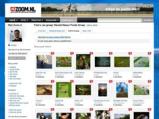 GroeienGroeienStartActiverenOpzettenIntroEinde