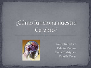 Laura González Fabián Mateus Paula Rodríguez  Camila Tovar ¿Cómo funciona nuestro Cerebro? 