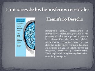Funciones de los hemisferios cerebralesHemisferio Derechopercepción global, sintetizando la información,  metafórico, participa en los procesos simultáneos o paralelos procesa la información de manera global, partiendo del todo para entender las distintas partes que lo compone holístico es intuitivo en vez de lógico, piensa en imágenes, símbolos y sentimientos. Tiene capacidad imaginativa y fantástica, espacial y perceptiva