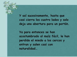 CóMo Cazar Chanchos