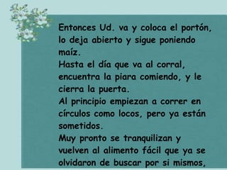 CóMo Cazar Chanchos