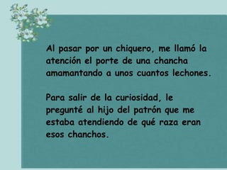 CóMo Cazar Chanchos