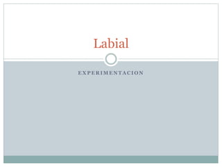 E X P E R I M E N T A C I O N
Labial
 