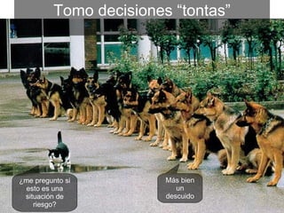 Tomo decisiones “tontas” Más bien un descuido ¿me pregunto si esto es una situación de riesgo? 