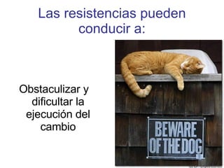 Las resistencias pueden conducir a: Obstaculizar y dificultar la ejecución del cambio 