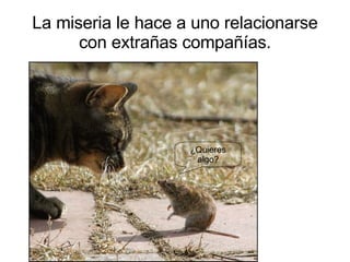 La miseria le hace a uno relacionarse con extrañas compañías. ¿Quieres algo? 