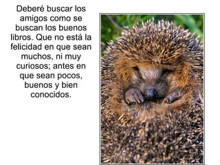 Deberé buscar los amigos como se buscan los buenos libros. Que no está la felicidad en que sean muchos, ni muy curiosos; antes en que sean pocos, buenos y bien conocidos. 