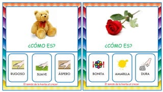 El sonido de la hierba al crecer El sonido de la hierba al crecer
¿CÓMO ES? ¿CÓMO ES?
 