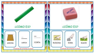 ¿CÓMO ES?
El sonido de la hierba al crecer El sonido de la hierba al crecer
¿CÓMO ES?
 