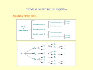 TECNICAS DE ESTUDIO: EL ESQUEMA ALGUNOS TIPOS SON...... 