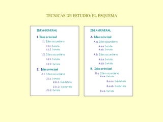 TECNICAS DE ESTUDIO: EL ESQUEMA 