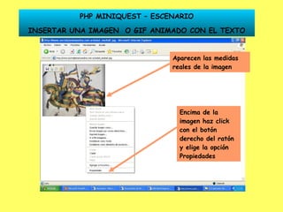 Aparecen las medidas reales de la imagen Encima de la imagen haz click con el botón derecho del ratón y elige la opción Propiedades PHP MINIQUEST – ESCENARIO INSERTAR UNA IMAGEN  O GIF ANIMADO CON EL TEXTO 