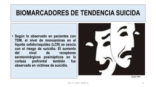BIOMARCADORES DE TENDENCIA SUICIDA
• Según lo observado en pacientes con
TDM, el nivel de monoaminas en el
líquido cefalorraquídeo (LCR) se asocia
con el riesgo de suicidio. El aumento
del nivel de receptores
serotoninérgicos posinápticos en la
corteza prefrontal también fue
observado en víctimas de suicidio.
MG. PS. FANNY WONG M 35
Google ,2019.
 