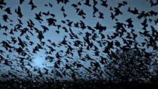 MG. PS. FANNY WONG M 42
 