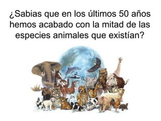 ¿Sabias que en los últimos 50 años
hemos acabado con la mitad de las
 especies animales que existían?
 