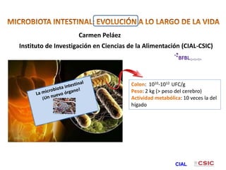 Instituto de Investigación en Ciencias de la Alimentación (CIAL-CSIC)
CIAL
Colon: 1010-1012 UFC/g
Peso: 2 kg (> peso del cerebro)
Actividad metabólica: 10 veces la del
hígado
Carmen Peláez
 