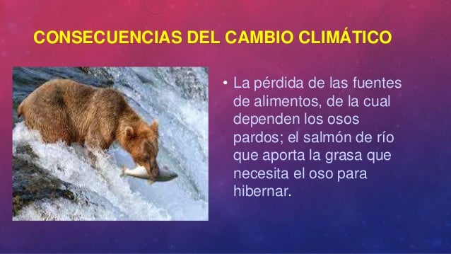 Cómo afecta el cambio climático a los mamíferos Cómo afecta el cambio climático a los mamíferos