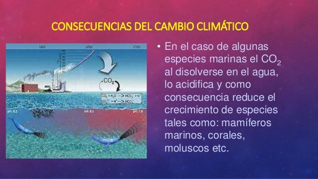 Cómo afecta el cambio climático a los mamíferos Cómo afecta el cambio climático a los mamíferos