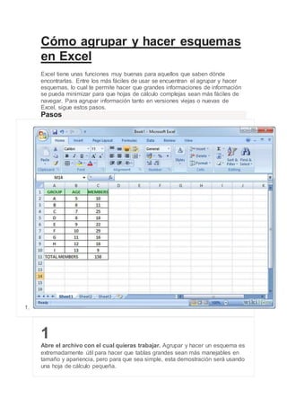 Cómo agrupar y hacer esquemas 
en Excel 
Excel tiene unas funciones muy buenas para aquellos que saben dónde 
encontrarlas. Entre los más fáciles de usar se encuentran el agrupar y hacer 
esquemas, lo cual te permite hacer que grandes informaciones de información 
se pueda minimizar para que hojas de cálculo complejas sean más fáciles de 
navegar. Para agrupar información tanto en versiones viejas o nuevas de 
Excel, sigue estos pasos. 
Pasos 
1. 
1 
Abre el archivo con el cual quieras trabajar. Agrupar y hacer un esquema es 
extremadamente útil para hacer que tablas grandes sean más manejables en 
tamaño y apariencia, pero para que sea simple, esta demostración será usando 
una hoja de cálculo pequeña. 
 