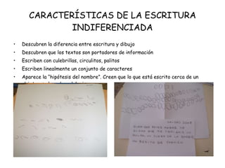 CARACTERÍSTICAS DE LA ESCRITURA INDIFERENCIADA Descubren la diferencia entre escritura y dibujo Descubren que los textos son portadores de información Escriben con culebrillas, circulitos, palitos Escriben linealmente un conjunto de caracteres Aparece la “hipótesis del nombre”. Creen que lo que está escrito cerca de un objeto es el nombre del mismo 
