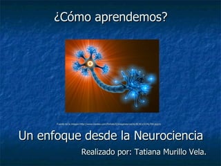 ¿Cómo aprendemos? Fuente de la imagen:http://www.neoteo.com/Portals/0/imagenes/cache/8C4Cx1024y768.jpgUn   Un enfoque desde la Neurociencia Realizado por: Tatiana Murillo Vela. 