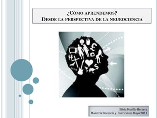 ¿Cómo aprendemos?   Desde la perspectiva de la neurociencia Silvia Murillo Herrera  Maestría Docencia y  Curriculum Mayo 2011 