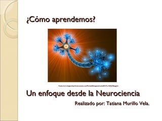 ¿Cómo aprendemos? Fuente de la imagen:http://www.neoteo.com/Portals/0/imagenes/cache/8C4Cx1024y768.jpgUn   Un enfoque desde la Neurociencia Realizado por: Tatiana Murillo Vela. 