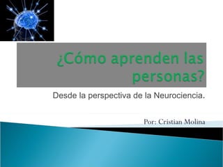Desde la perspectiva de la Neurociencia . Por: Cristian Molina 