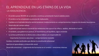 EL APRENDIZAJE EN LAS ETAPAS DE LA VIDA
-LA ADOLESCENCIA-
• El cerebro posee 90-95% de su tamaño y continua aumentando hasta la adultez joven.
• El cerebro no ha completado su proceso de maduración.
• Cambios en el estriado derecho ventral producen involucramiento en comportamientos riesgosos de elevada recompensa.
• Desarrollo del cuerpo calloso
• La glándula pineal alerta la secreción de melatonina más que en los niños y adultos, afectando el sueño
• El cerebelo, que gobierna la postura, el movimiento y el equilibrio, sigue creciendo
• La corteza prefrontal es la última zona a desarrollarse y es responsable de
importantes funciones ejecutivas – comportamiento inestable
Cambios mentales profundos que afectan la constitución emocional
Apertura al aprendizaje y al desarrollo social
Desarrollo emocional – surgimiento de hormonas en el cerebro – emociones intensas
 