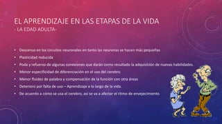 EL APRENDIZAJE EN LAS ETAPAS DE LA VIDA
- LA EDAD ADULTA-
• Descenso en los circuitos neuronales en tanto las neuronas se hacen más pequeñas
• Plasticidad reducida
• Poda y refuerzo de algunas conexiones que darán como resultado la adquisición de nuevas habilidades.
• Menor especificidad de diferenciación en el uso del cerebro
• Menor fluidez de palabra y compensación de la función con otra áreas
• Deterioro por falta de uso – Aprendizaje a lo largo de la vida.
• De acuerdo a cómo se usa el cerebro, así se va a afectar el ritmo de envejecimiento
 