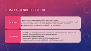 CÓMO APRENDE EL CEREBRO
•Generar nuevas neuronas para modificar la estructura cerebral
•Afinar conexiones mediante la formación, reforzamiento, debilitamiento y eliminación de sinapsis
•Las conexiones más activas se refuerzan y las menos activas se debilitan hasta morir
•El cerebro se ajusta para calzar con el ambiente y ser más eficiente
NEURONAS
•Flexibilidad del cerebro para responder a las demandas ambientales a lo largo de toda la vida
•Es posible gracias a los procesos neuronales arriba descritos
•La plasticidad sustenta el aprendizaje
•Expectante a la experiencia: Modificación genética (desarrollo)
•Dependiente de la experiencia: Modificación por influencia ambiental
PLASTICIDAD
 