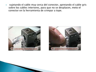     sujetando el cable muy cerca del conector, apretando el cable gris
    sobre los cables interiores, para que no se desplacen, meto el
    conector en la herramienta de crimpar a tope.
 
