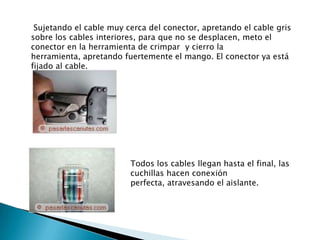 Sujetando el cable muy cerca del conector, apretando el cable gris
sobre los cables interiores, para que no se desplacen, meto el
conector en la herramienta de crimpar y cierro la
herramienta, apretando fuertemente el mango. El conector ya está
fijado al cable.




                         Todos los cables llegan hasta el final, las
                         cuchillas hacen conexión
                         perfecta, atravesando el aislante.
 