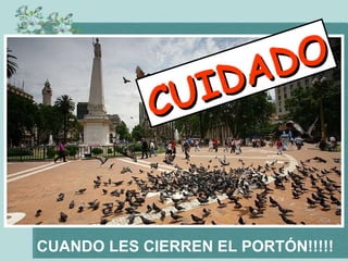 CUANDO LES CIERREN EL PORTÓN!!!!! CUIDADO 