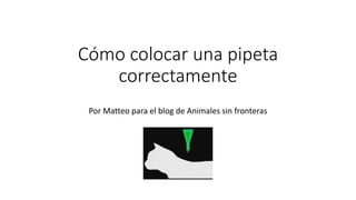 Cómo colocar una pipeta
correctamente
Por Matteo para el blog de Animales sin fronteras
 
