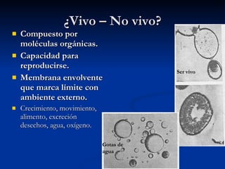 ¿Vivo – No vivo? Compuesto por moléculas orgánicas. Capacidad para reproducirse. Membrana envolvente que marca límite con ambiente externo. Crecimiento, movimiento, alimento, excreción desechos, agua, oxígeno. Ser vivo Gotas de agua 