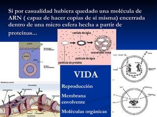 Si por casualidad hubiera quedado una molécula de ARN ( capaz de hacer copias de sí misma) encerrada dentro de una micro esfera hecha a partir de proteínas...   VIDA Reproducción Membrana envolvente Moléculas orgánicas 