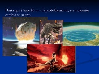 Hasta que ( hace 65 m. a. ) probablemente, un meteorito cambió su suerte.  