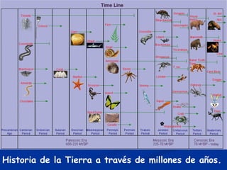 Historia de la Tierra a través de millones de años. 