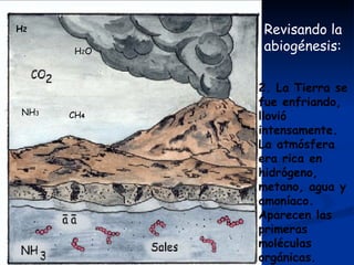 Revisando la abiogénesis:  2. La Tierra se fue enfriando, llovió intensamente. La atmósfera era rica en hidrógeno, metano, agua y amoníaco. Aparecen las primeras moléculas orgánicas. CH 4 H 2 NH 3 H 2 O 