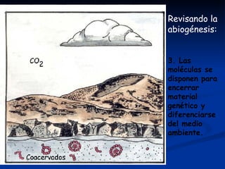 Revisando la abiogénesis:  3. Las moléculas se disponen para encerrar material genético y diferenciarse del medio ambiente. 
