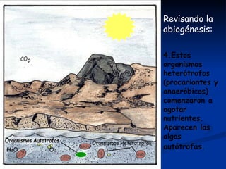 Revisando la abiogénesis:  4.Estos organismos heterótrofos (procariontes y anaeróbicos) comenzaron a agotar nutrientes. Aparecen las algas autótrofas.   O 2 H 2 O 