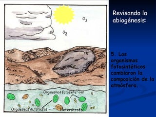 Revisando la abiogénesis:  5. Los organismos fotosintéticos cambiaron la composición de la atmósfera.  Heterótrofo 