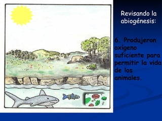 Revisando la abiogénesis:  6. Produjeron oxígeno suficiente para permitir la vida de los animales.  
