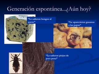 Generación espontánea...¿Aún hoy? “ Le salieron hongos al queso” “ Le aparecieron gusanos a las papas” “ Le salieron piojos de pura pena” 