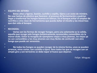 •   EQUIPO DEL SETERO:
•   ·     Botas altas y ligeras, bastón, cuchillo y cepillo, tijera y un cesto de mimbre.
    No usar bolsas de plástico que favorece el proceso de fermentación y podrían
    llegar a trasformar los hongos buenos en tóxicos. En el bosque evitar el empleo de
    rastrillos o otra clase de herramienta que pueda dañar el micelio y las micorrizas
    que dan vida al bosque.
•
•   RECOGIDA:
•   ·    Varias son las formas de recoger hongos, pero una solamente es la valida,
    aquella que recoge solo hongos botánicamente reconocidos comestibles sin la
    menor duda. Evitar la recogida de ejemplares viejos o muy jóvenes, los viejos ya
    no son comestibles y los muy jóvenes son muy fáciles de confundir con otro
    hongo que puede ser venenoso.
•
•   ·    No todos los hongos se pueden recoger de la misma forma, unos se pueden
    arrancar, otros cortar, con cuchillo o tijera. Pero todos los que se recogen con un
    simple giro y son terrestres se debe tapar el hueco que dejaron.

•                                                                       Felipe Minguez
 